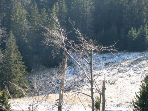 IMG_3038.JPG