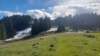 _150810_small.jpg