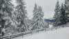_151220_small.jpg