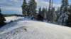 _173034_small.jpg