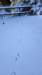 _173352_small.jpg