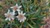 _141536_small.jpg
