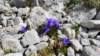_152137_small.jpg